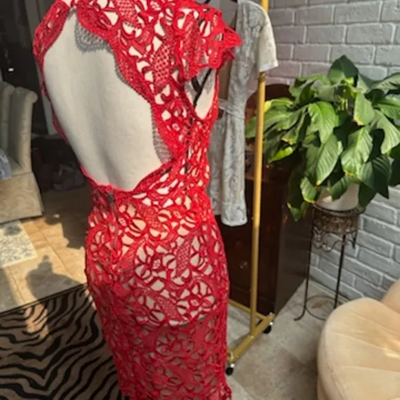 Alice and Olivia Red Lace Dress