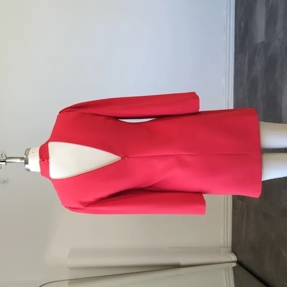 Alice   Olivia Bailey Flare Sleeves Mini Dress Red 0 minimalist contemporary