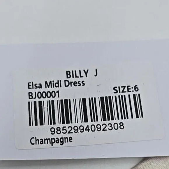 Billy J NWT - Elsa Midi 6 Elegant Minimalist Slit Romantic Champagne Silk Dress