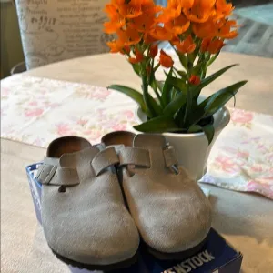 Birkenstock Sage green Boston Shoes