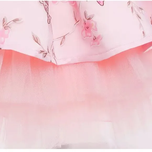 Birthday princess butterflies and flowers luxury embroidered dress 5037