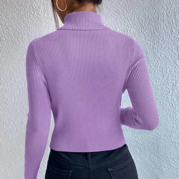 Color Minimalist Turtleneck Pullover Sweater