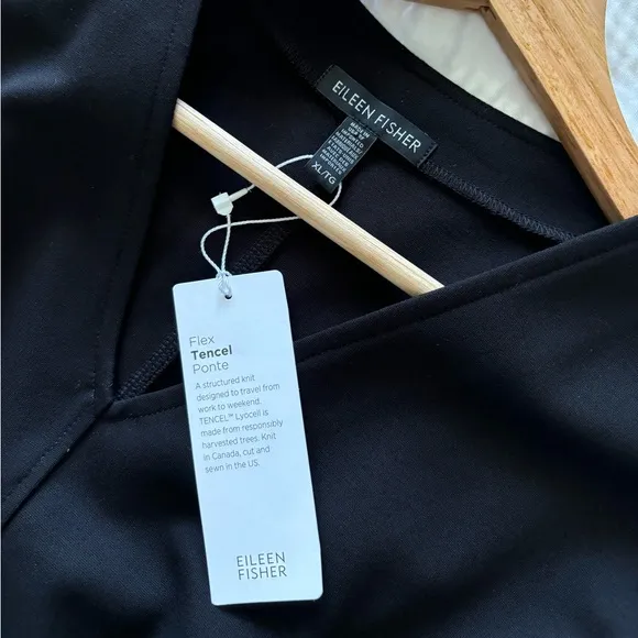 Eileen Fisher Black Minimalist Style Sleeveless V-Neck Midi Dress