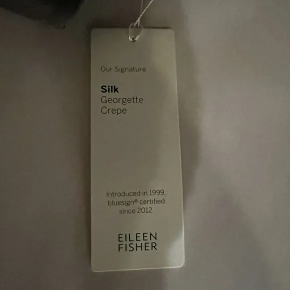Eileen Fisher Georgette Crepe Silk Minimalist dress