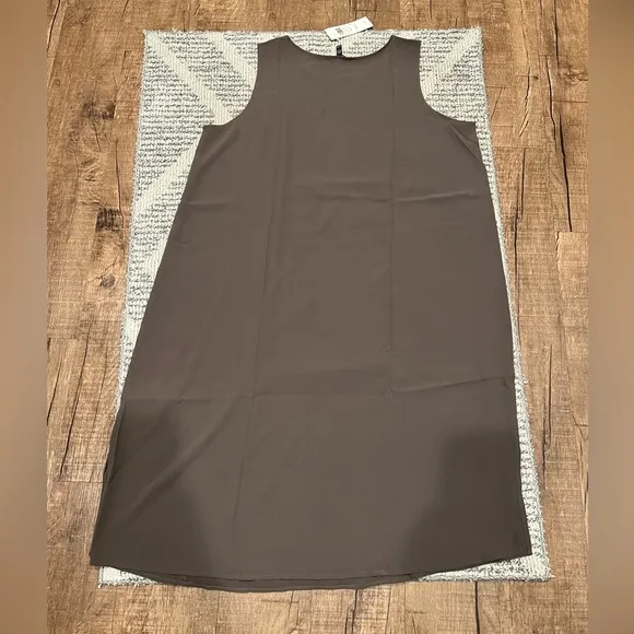 Eileen Fisher Georgette Crepe Silk Minimalist dress