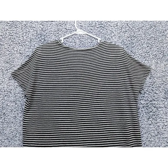 Everlane Linen Shift Dress Womens Small Mini Breathable Minimalist Striped Black
