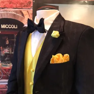 Falcone luxury Tuxedo coat