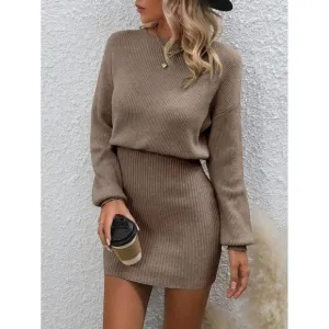 fitted crewneck soft knit sweater dress brown tan preppy minimalist
