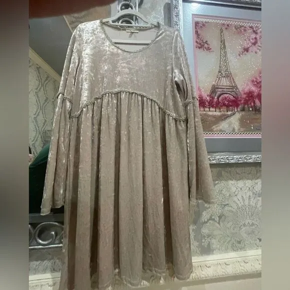 Gorgeous Silver Velvet Dress!