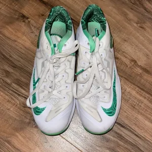 Lebron 11 Easter’s