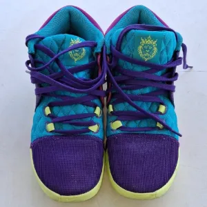 LeBron James  Nike Purple and Blue High-Top Sneakers Size 9.5