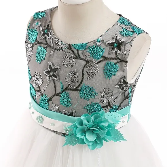 Luxury Embroidered Flower Girl 🌸 Princess Birthday Wedding Dress 5062