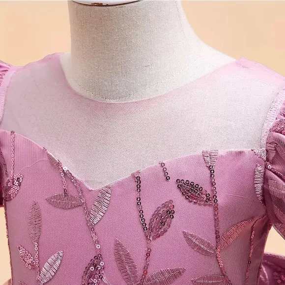Luxury Embroidered Princess Flower 🌺 Special Occasion Dress 5065
