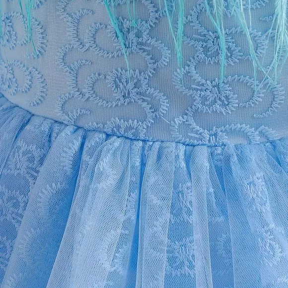 Luxury Feather Birthday Princess Lace Dress 5046