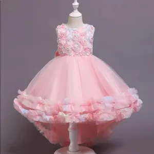 Luxury floral appliqué beautiful princess dress 5055
