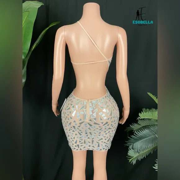 Luxury Mirror and Mesh Cutout Mini Dress