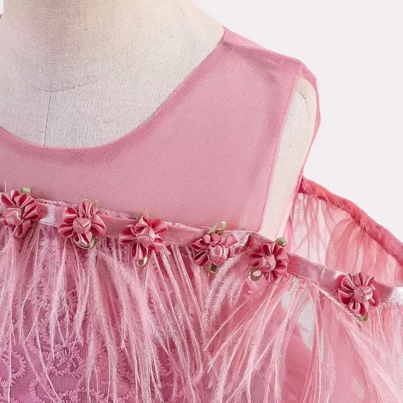 Luxury Pink Feather Lace Embroidered Dress 5046