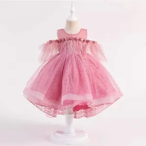 Luxury Pink Feather Lace Embroidered Dress 5046