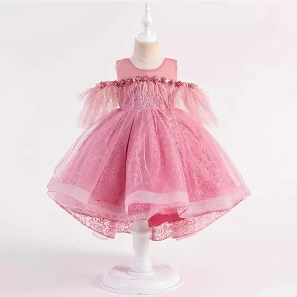 Luxury Pink Feather Lace Embroidered Dress 5046