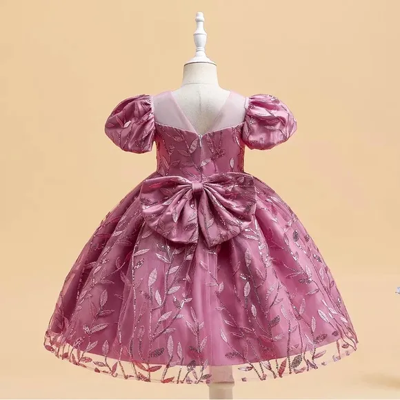 Luxury Princess Wedding Birthday Embroidered Sparkly Flower Girl Dress 5065