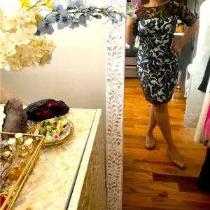 Milly lined lace silk dress - size 8, like new