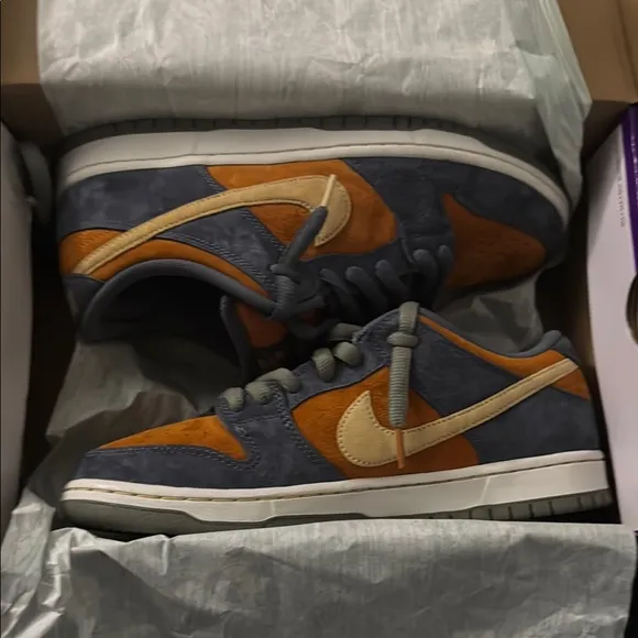 Nike dunk low sb “carbon monarch”. New(other) see description. Men’s 9.5