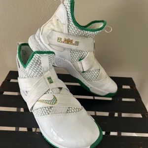 NIKE LEBRON SOLDIER 12 FIGHTING IRISH GREEN AND WHITE