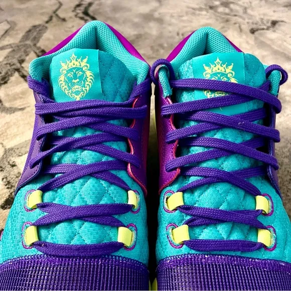 Nike Lebron Witness VIII Basketball Shoes Sneakers purple teal 9.5 US 43 EUR