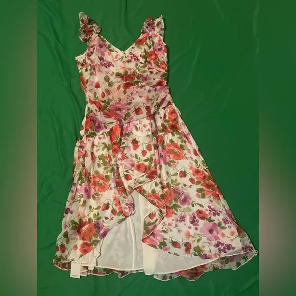 NWT Abercrombie &amp; Fitch Floral Pink and Green Dress size XXLP