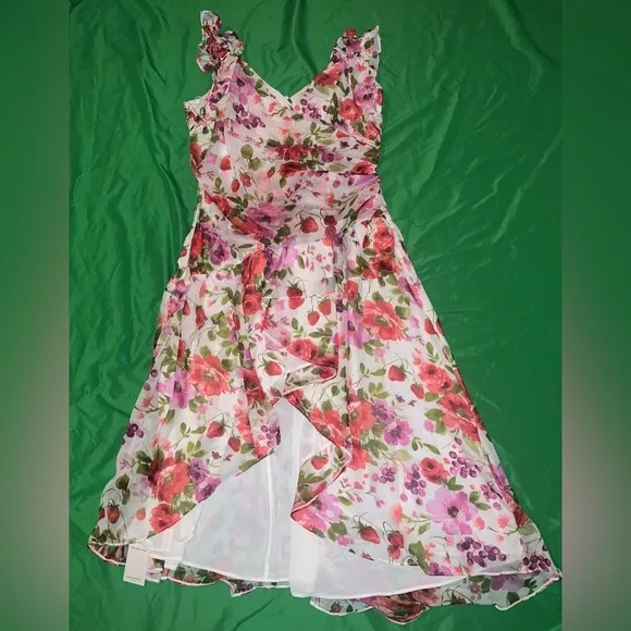 NWT Abercrombie &amp; Fitch Floral Pink and Green Dress size XXLP