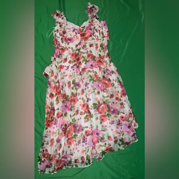 NWT Abercrombie &amp; Fitch Floral Pink and Green Dress size XXLP