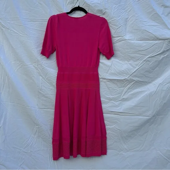 NWT Pinko Fuchsia Pink Fit and Flare Ponza Dress Size Large