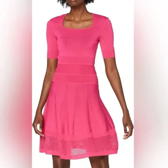 NWT Pinko Fuchsia Pink Fit and Flare Ponza Dress Size Large