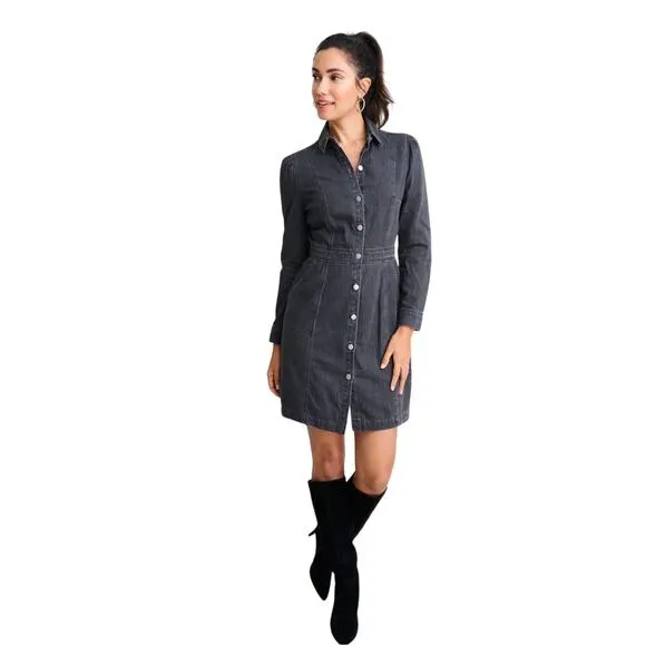 NWT UNTUCKit for her Annie Long Sleeve Denim Shirt Dress Minimalist Size 10
