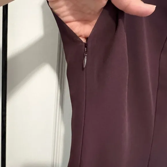Plum Reiss Short Sleeve Dress (Size 4)
