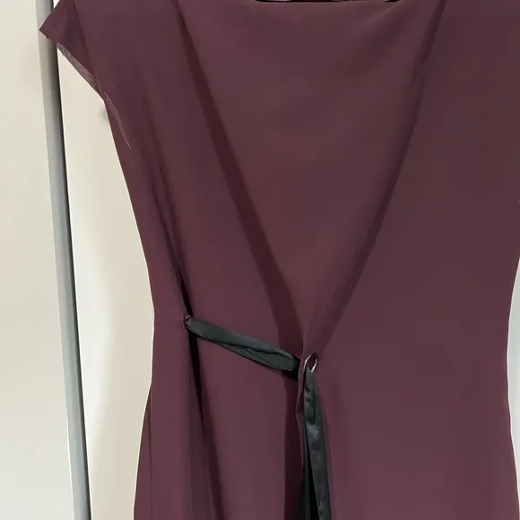 Plum Reiss Short Sleeve Dress (Size 4)