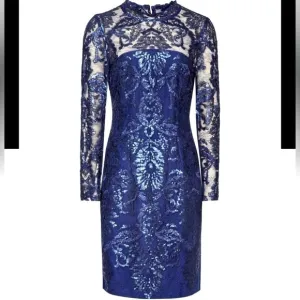 Reiss Asabi Lace Sheer Brocade Long Sleeve Floral Navy Mock Neck Dress EUC 8