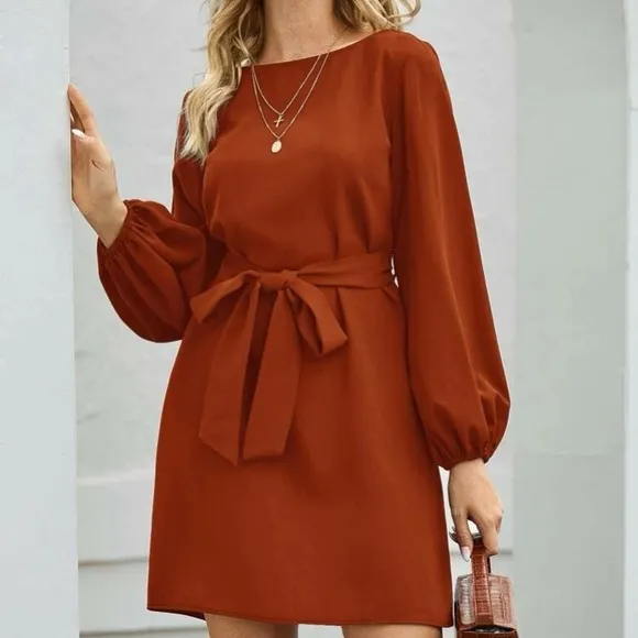 Rust Brown lantern long sleeve mini dress Minimalist Work