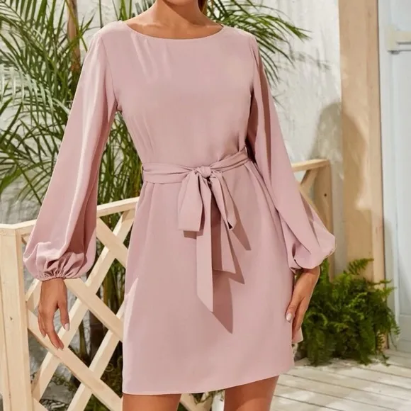Rust Brown lantern long sleeve mini dress Minimalist Work