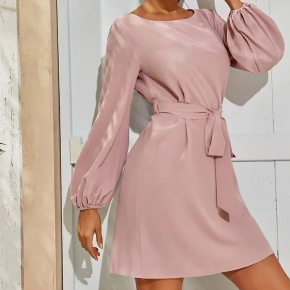 Rust Brown lantern long sleeve mini dress Minimalist Work