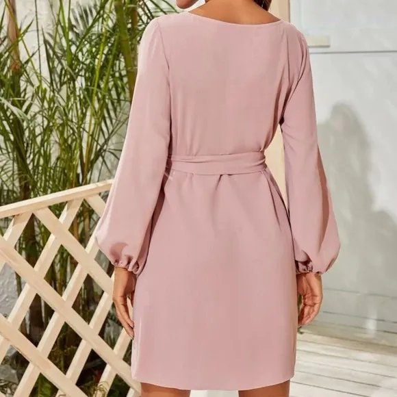 Rust Brown lantern long sleeve mini dress Minimalist Work