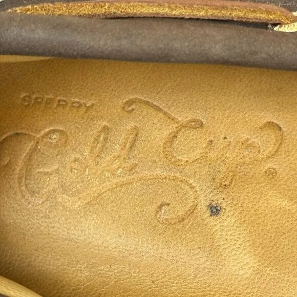 Sperry Gold Cup Top Sider Mens Slip On Loafer Boat Shoes Leather Brown