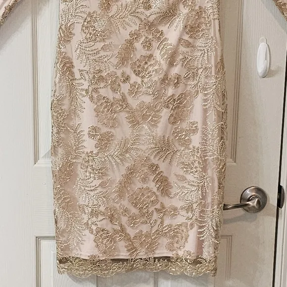 Tadashi Shoji Zuri Vintage Gold Dress Elegant Wear Luxury Wedding Preppy