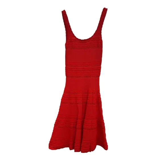 Torn by Ronny Kobo Alberta Dress XS