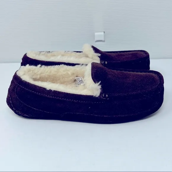 UGG**Ascot Brown Suede Unisex Slippers**US 4 $95