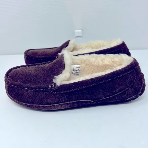 UGG**Ascot Brown Suede Unisex Slippers**US 4 $95