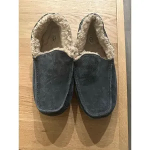 Uggs Ascot men slippers