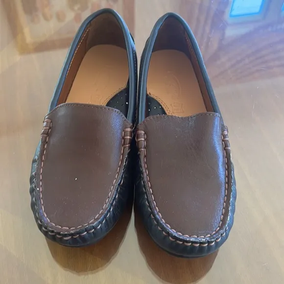 Venettini Boys Brown and Navy  shoes