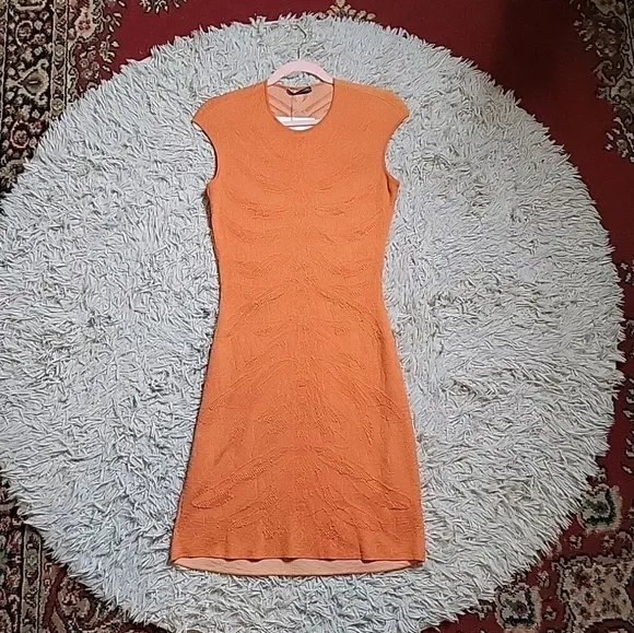 Womens Alexander McQueen Dress Orange Embroidery Designer Luxury Chic